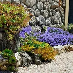 Belvedere Cramaccioli Vigne