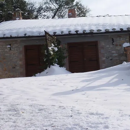 Belvedere Cramaccioli * Vigne