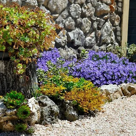 Belvedere Cramaccioli Vigne