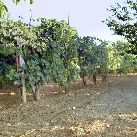 Alojamento de Turismo Rural Belvedere Cramaccioli