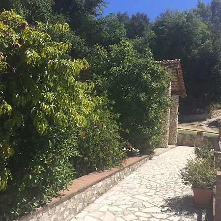 Belvedere Cramaccioli * Vigne