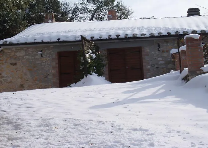 Belvedere Cramaccioli * Vigne