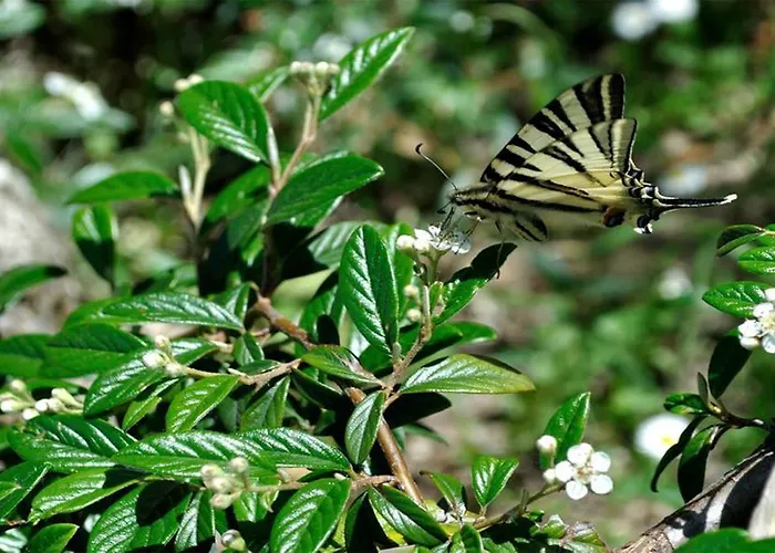 Alojamento de Turismo Rural Belvedere Cramaccioli *