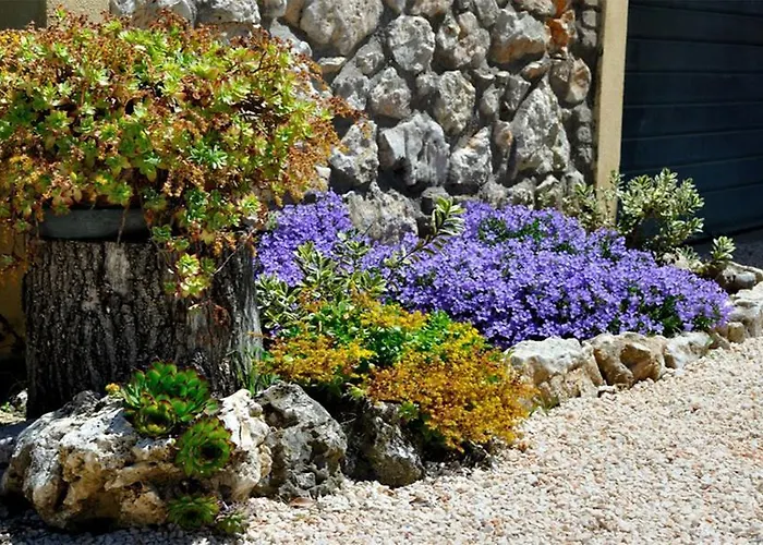 Belvedere Cramaccioli Vigne