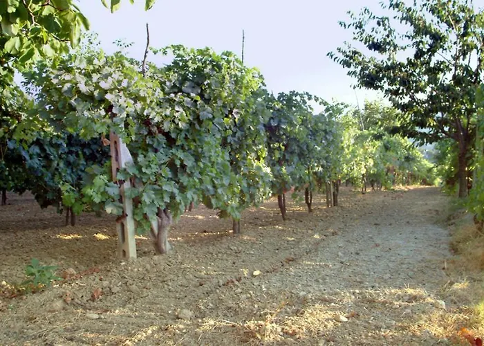 Alojamento de Turismo Rural Belvedere Cramaccioli