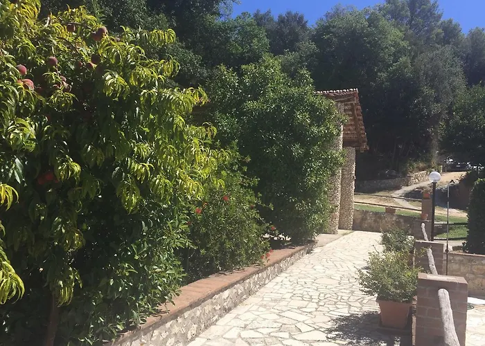 Belvedere Cramaccioli * Vigne